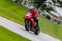 PJ-Motorsport-Photography-2020;anglesey;brands-hatch;cadwell-park;croft;donington-park;enduro-digital-images;event-digital-images;eventdigitalimages;mallory;no-limits;oulton-park;peter-wileman-photography;racing-digital-images;silverstone;snetterton;trackday-digital-images;trackday-photos;vmcc-banbury-run;welsh-2-day-enduro